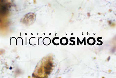  Journey to the Microcosmos! Explore the Tiny World Teeming with Life