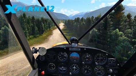 XPlane 12: A Virtual Playground for Aviation Enthusiasts!